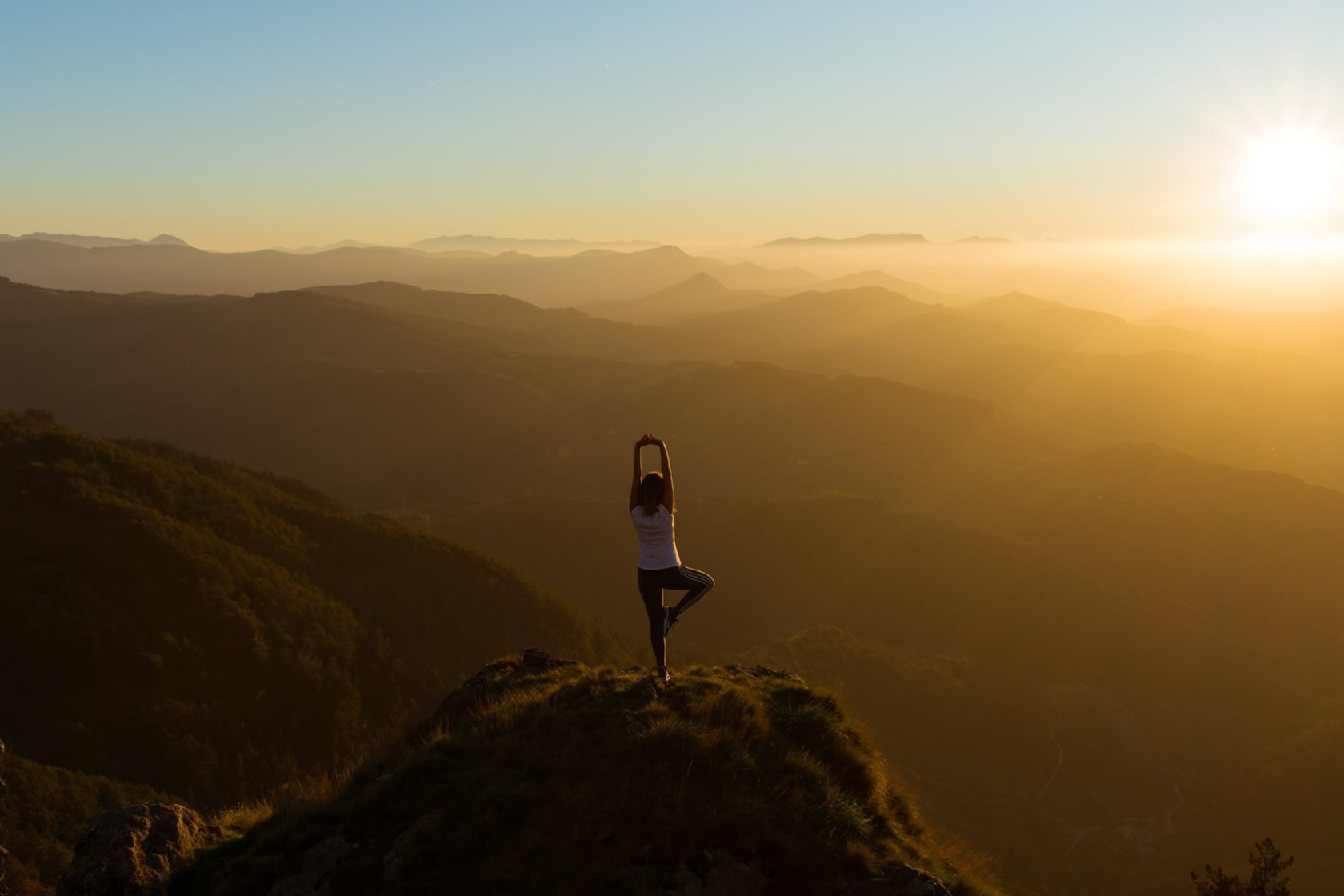 Йога девушка на восходе солнца в позе дерева