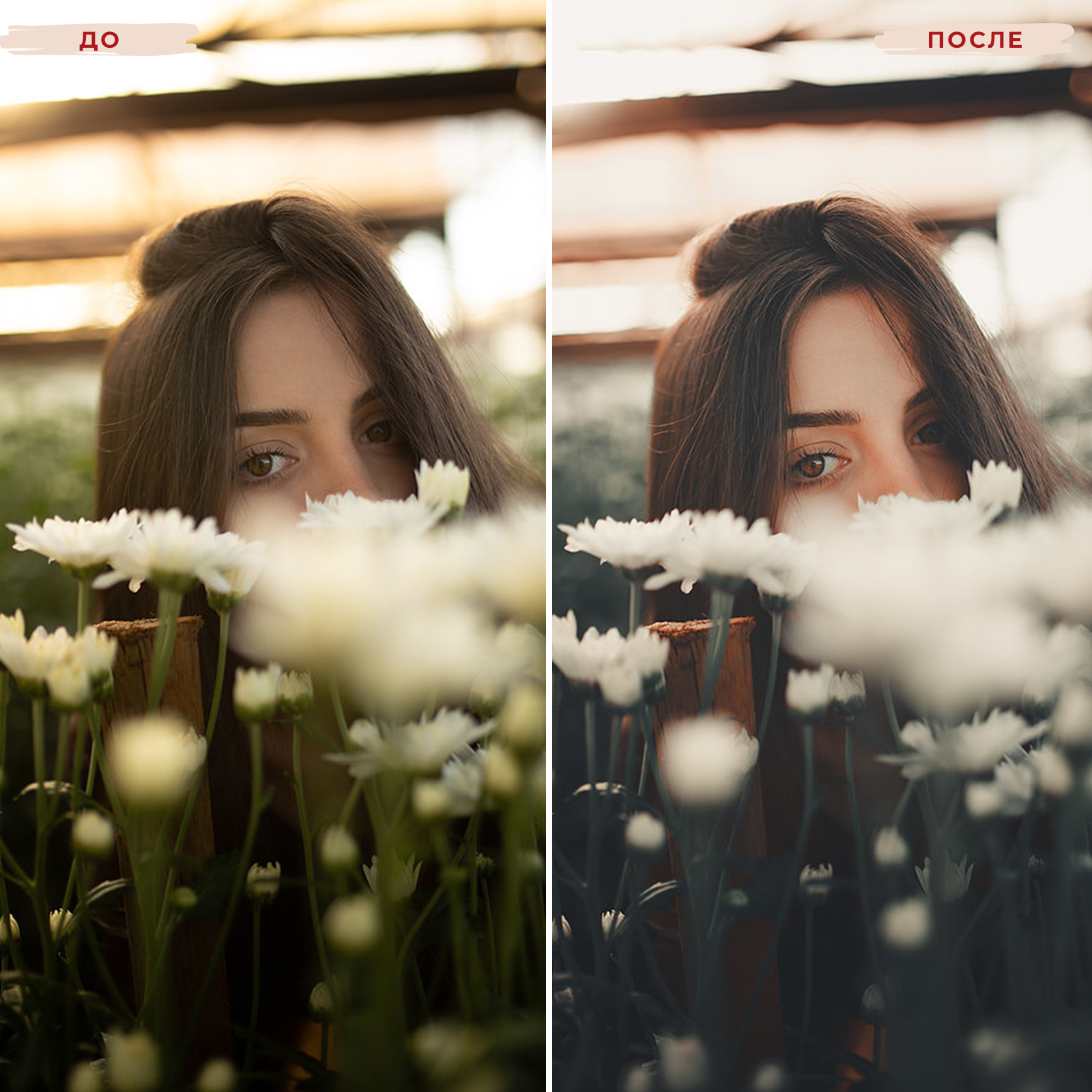 Пресет для клубной фотографии lightroom