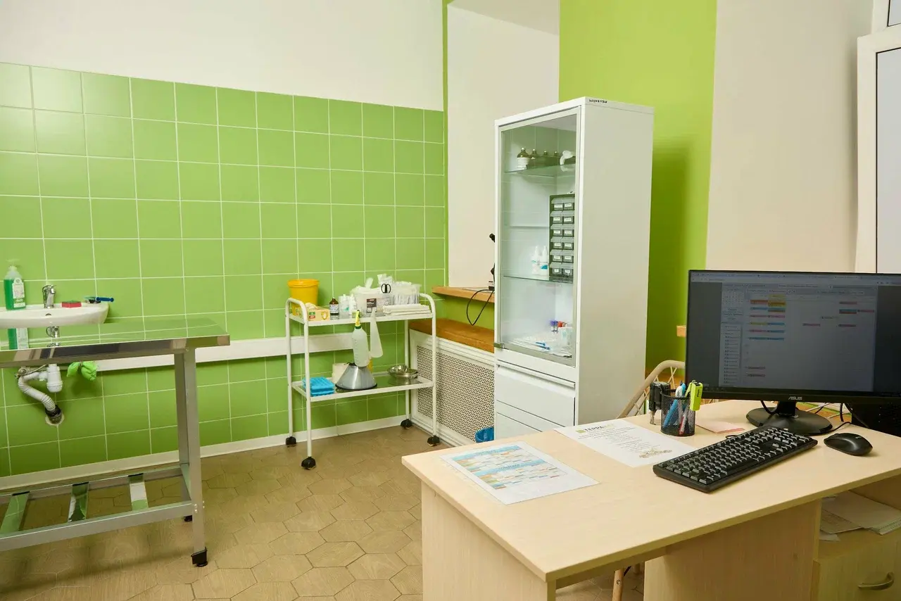 Помещение ветеринарной клиники TerraVET