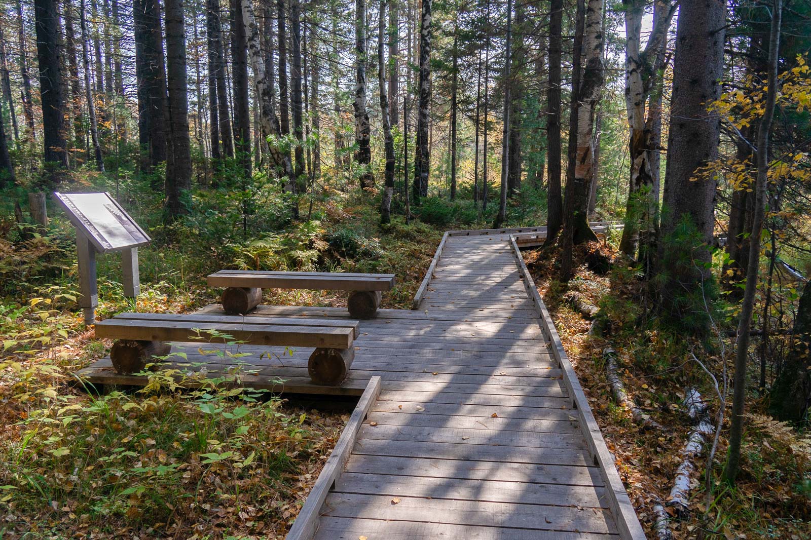Экотропа Путь к Байкалу