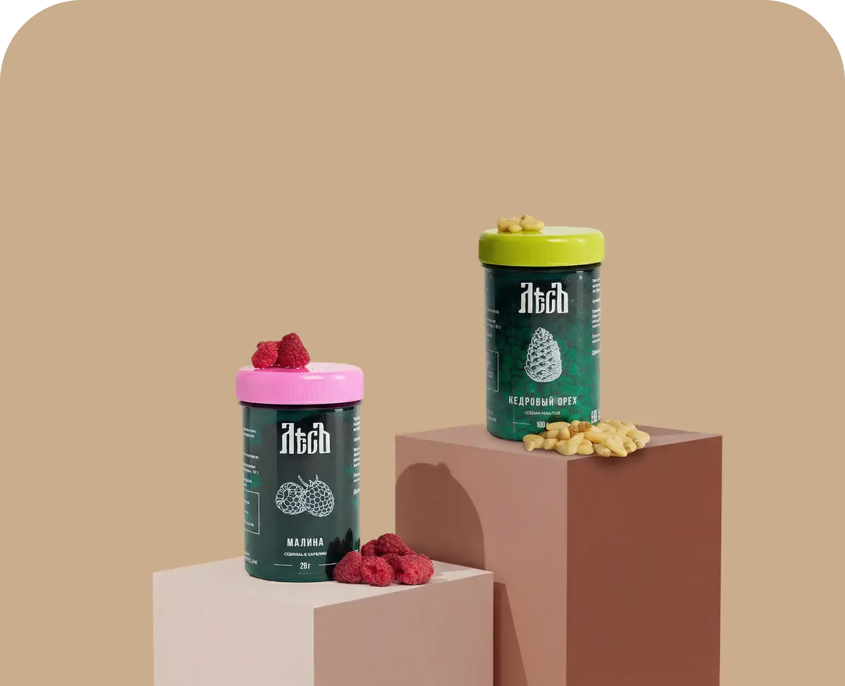 Ягоды и орехи