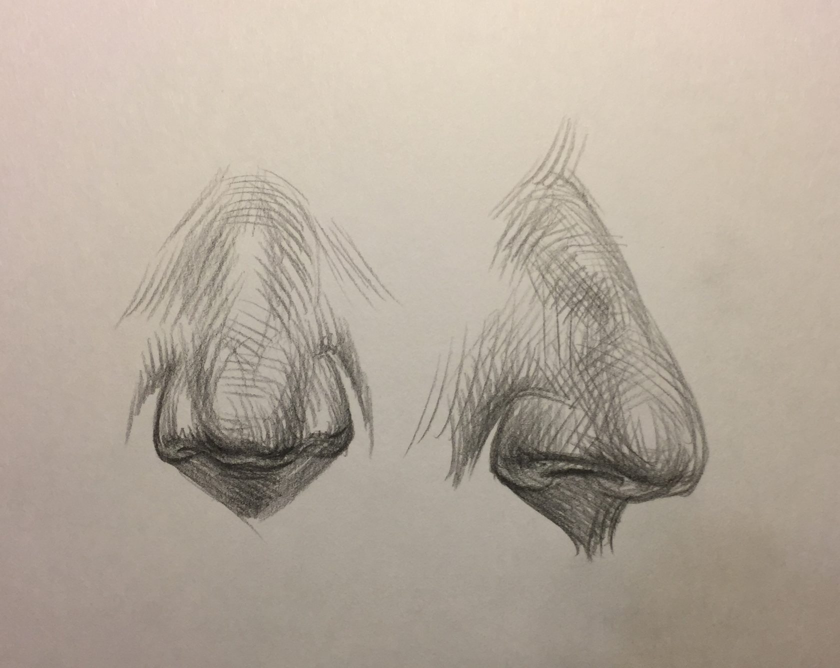 Анатомия носа для рисования цветными карандашами