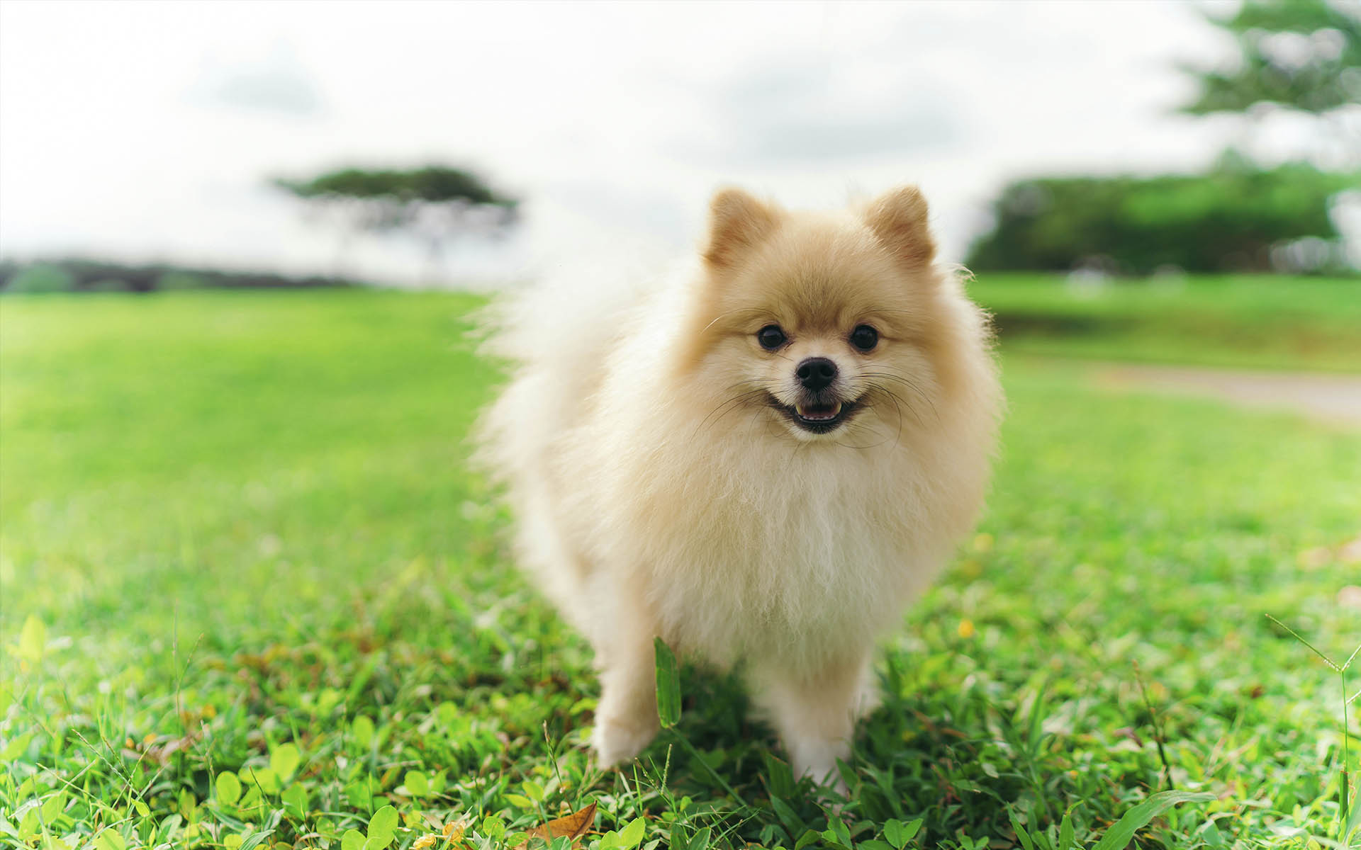 Виховання має значення