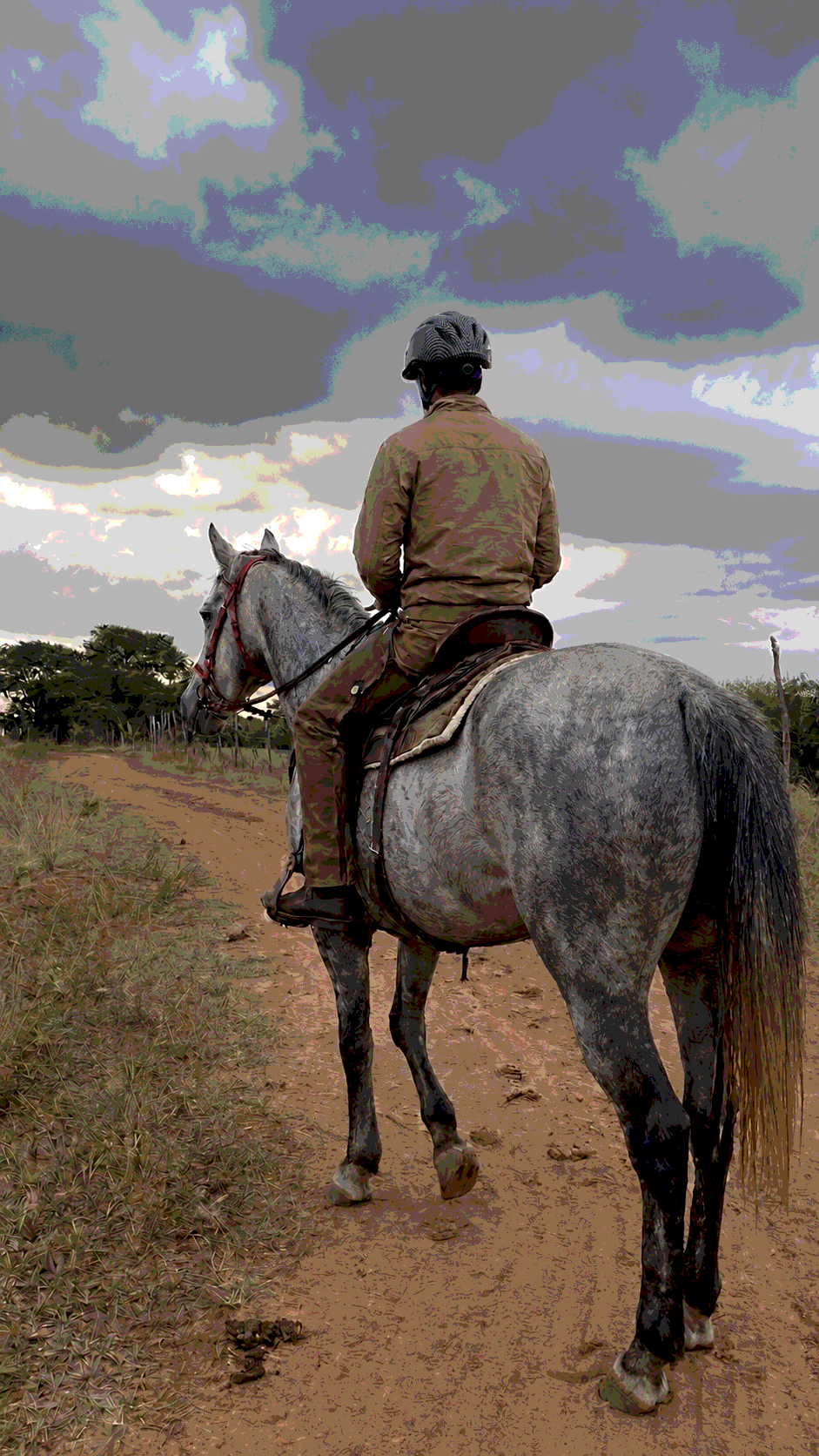 Horse and rider on a countryside trail at Vonfidel Ranch demonstrating ethical horsemanship through trust patience partnership and responsible horse welfare practices.