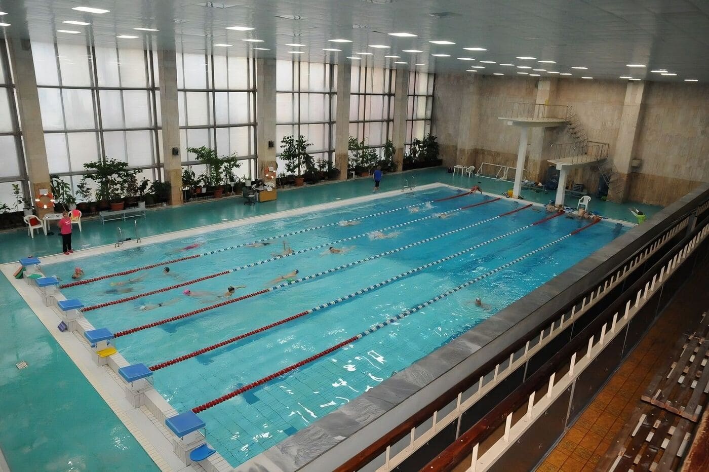Бассейн Луч 1-я Владимирская улица 10Б, школа плавания для детей от 3 до 15 лет Strong Swim