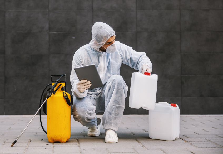 Уничтожение насекомых в Москве — Центр дезинсекции