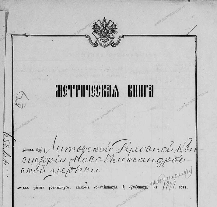 Метрическая книга Ново-Александровской церкви за 1878 год.