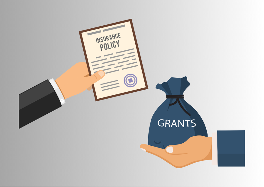Страховой полис и мешочек с грантами
