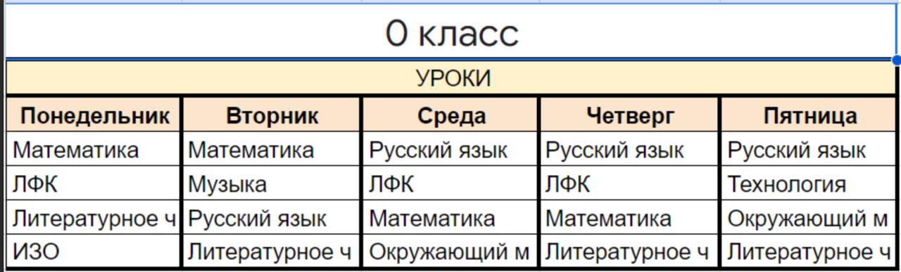 школьная программа подготовительной группы детей с инвалидностью