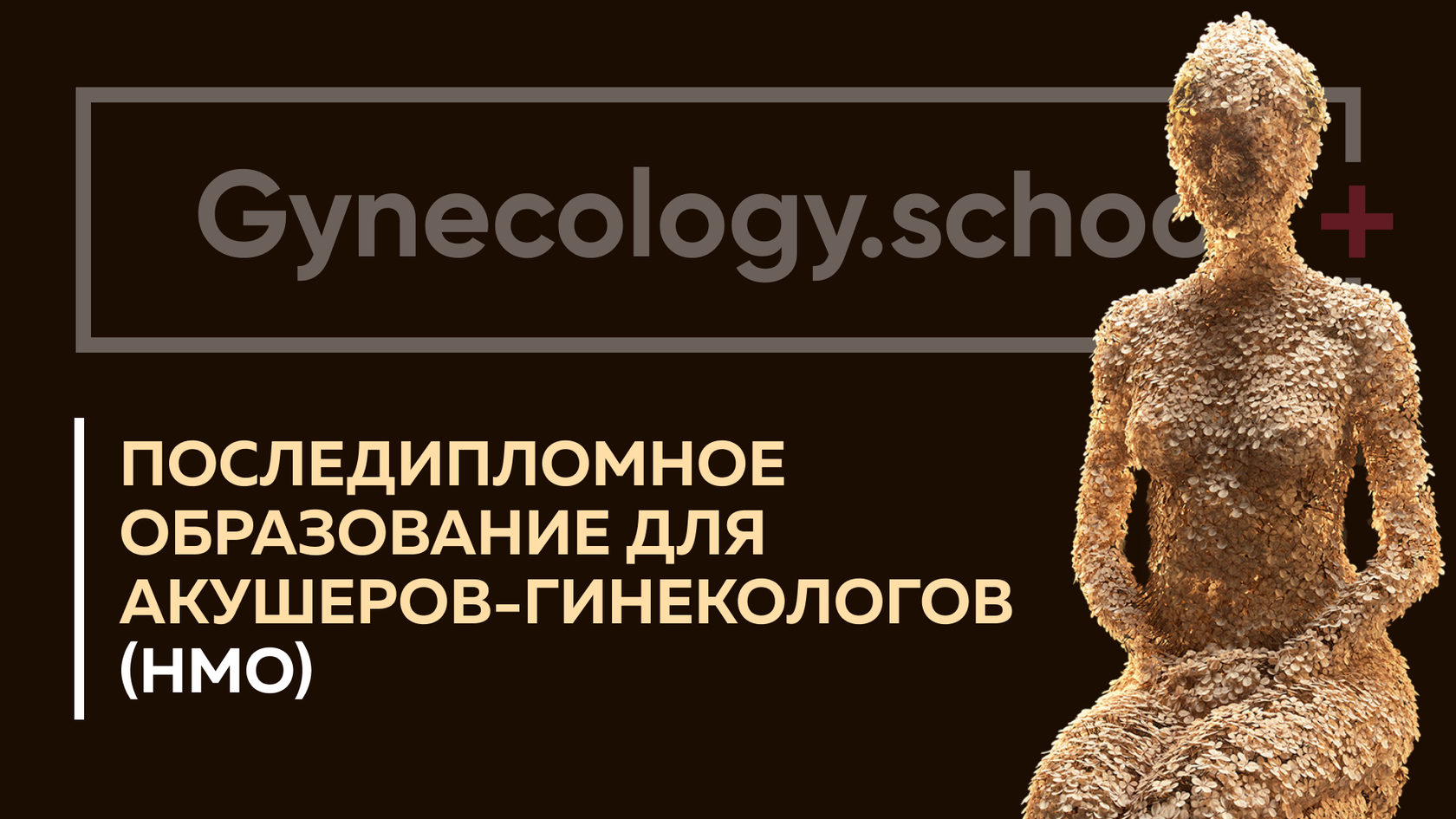 Gynecology.school