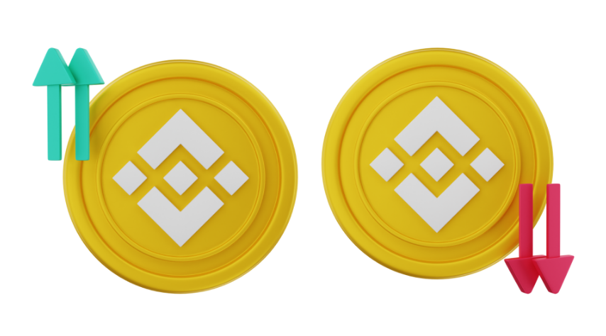 BNB coins are representing Binance fees for makers and takers