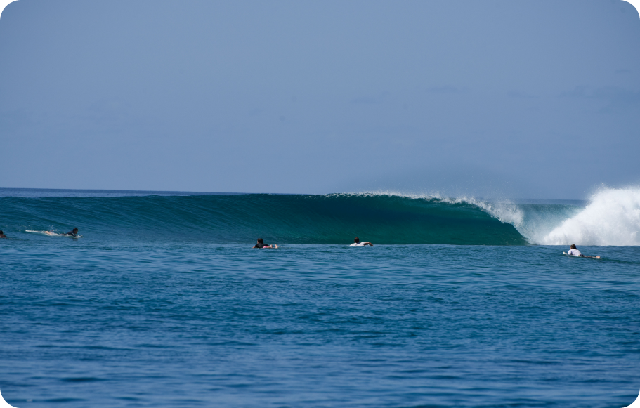 Surfing safari in the Maldives on the Central atolls, Sparsely populated waves, the wild part of the Maldives will give an unforgettable experience.