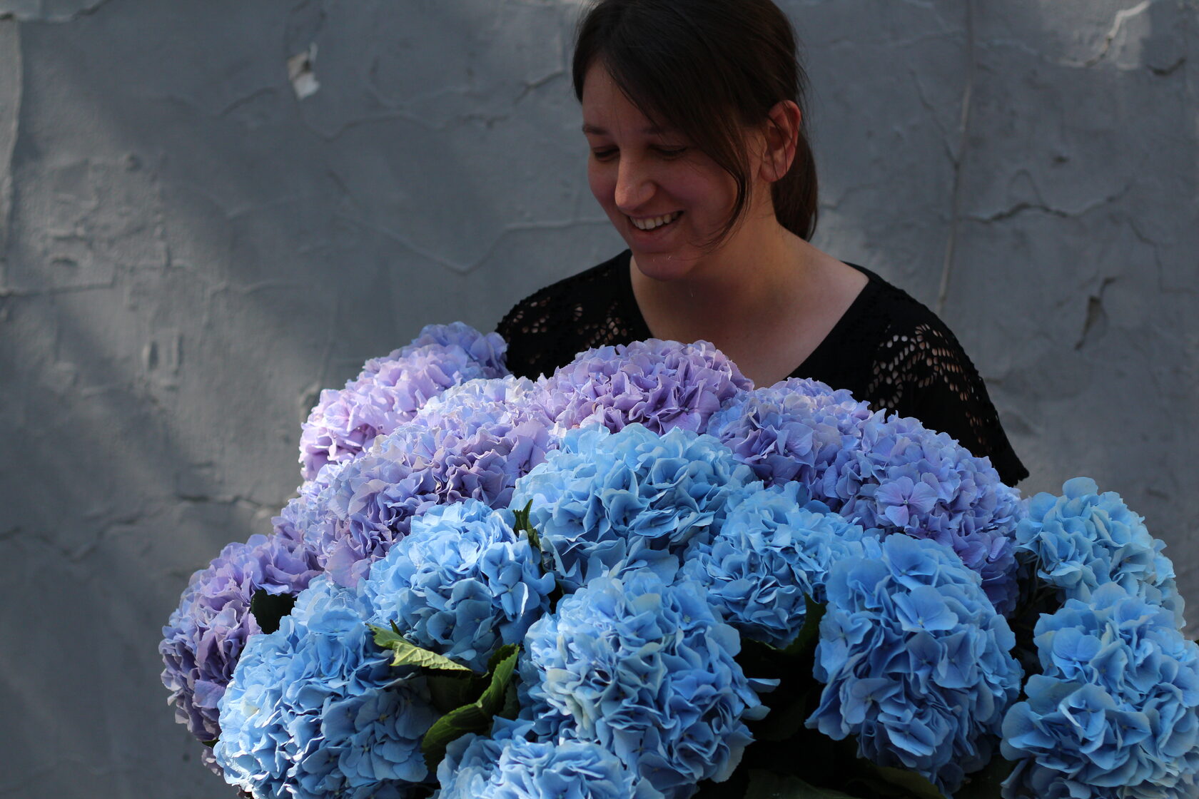 Купить гортензию — заказать нежный букет цветов гортензии в Ростове-на ...