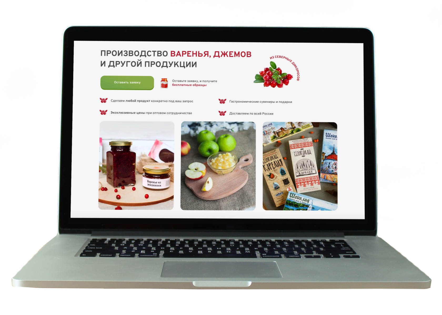 сайт под ключ, заказать создание сайта, сайт на тильде