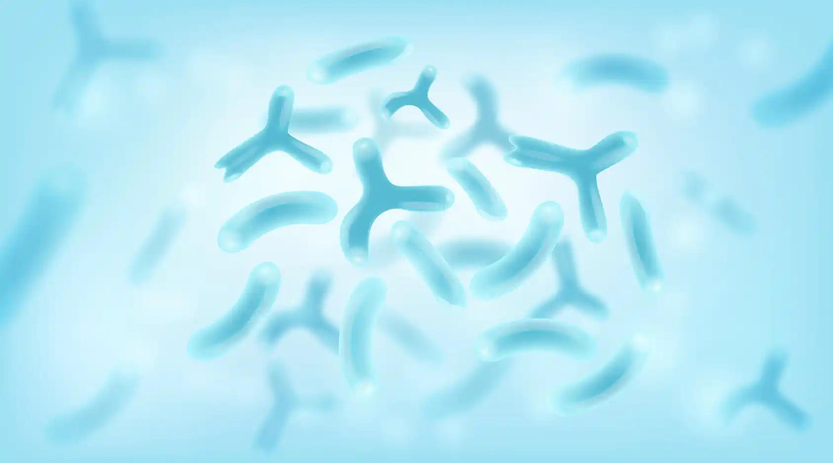 Bifidobacterium infantis