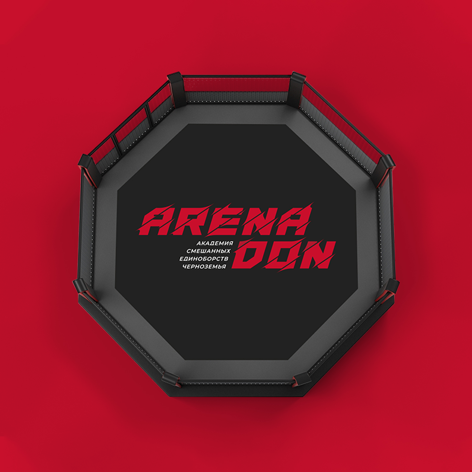 Arena Don – обложка проекта