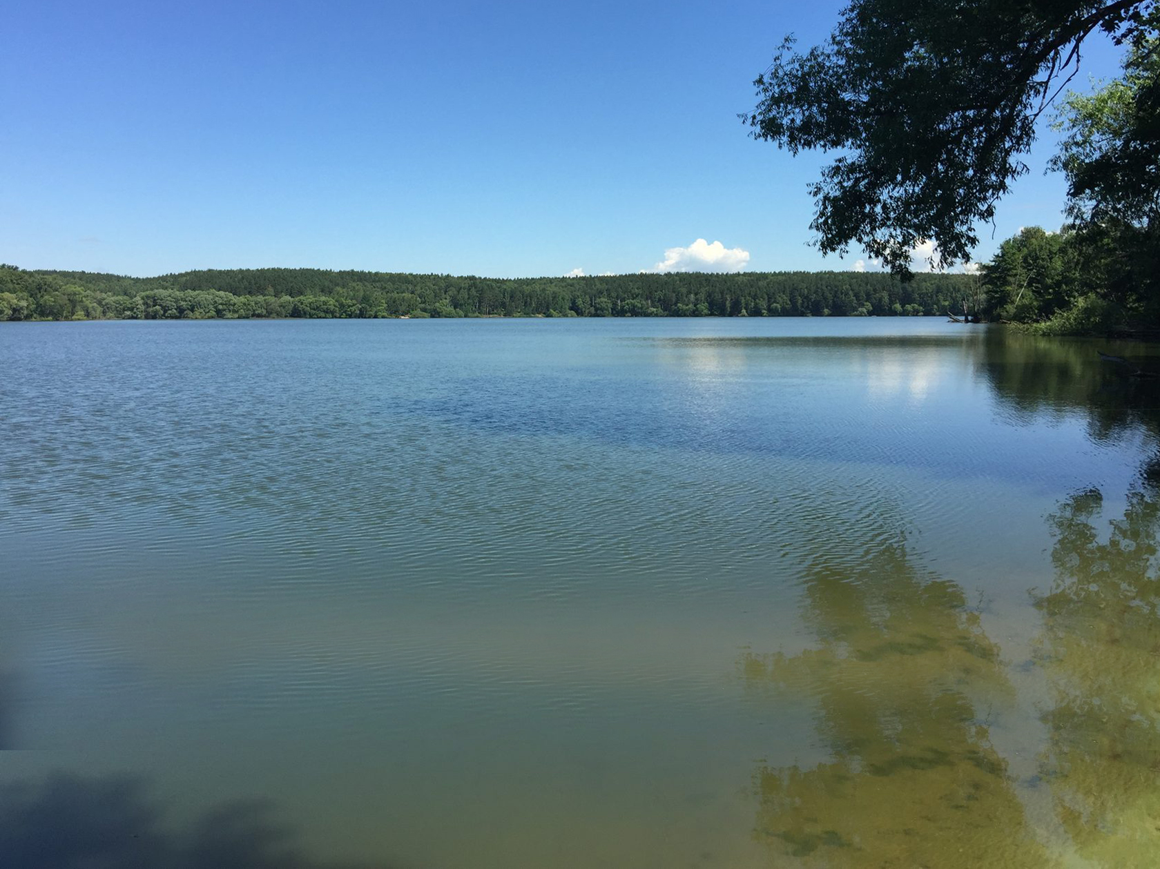 Поселок прибрежный фото