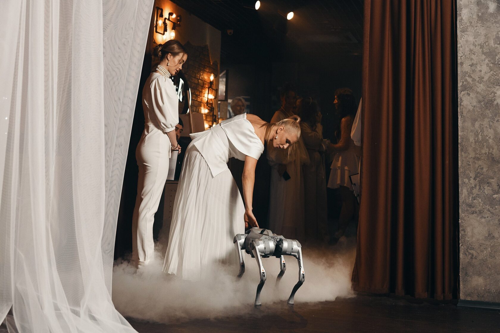 взять в прокат робопса