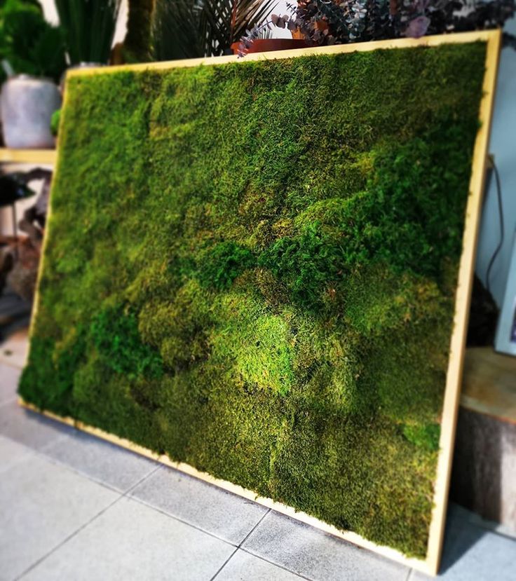 панно из мха