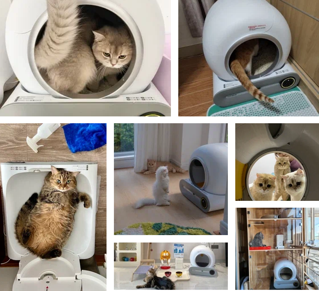 Автоматический лоток туалет для кошек Tonepie