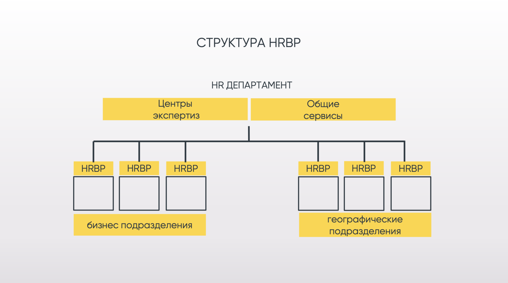 Структура HR отдела