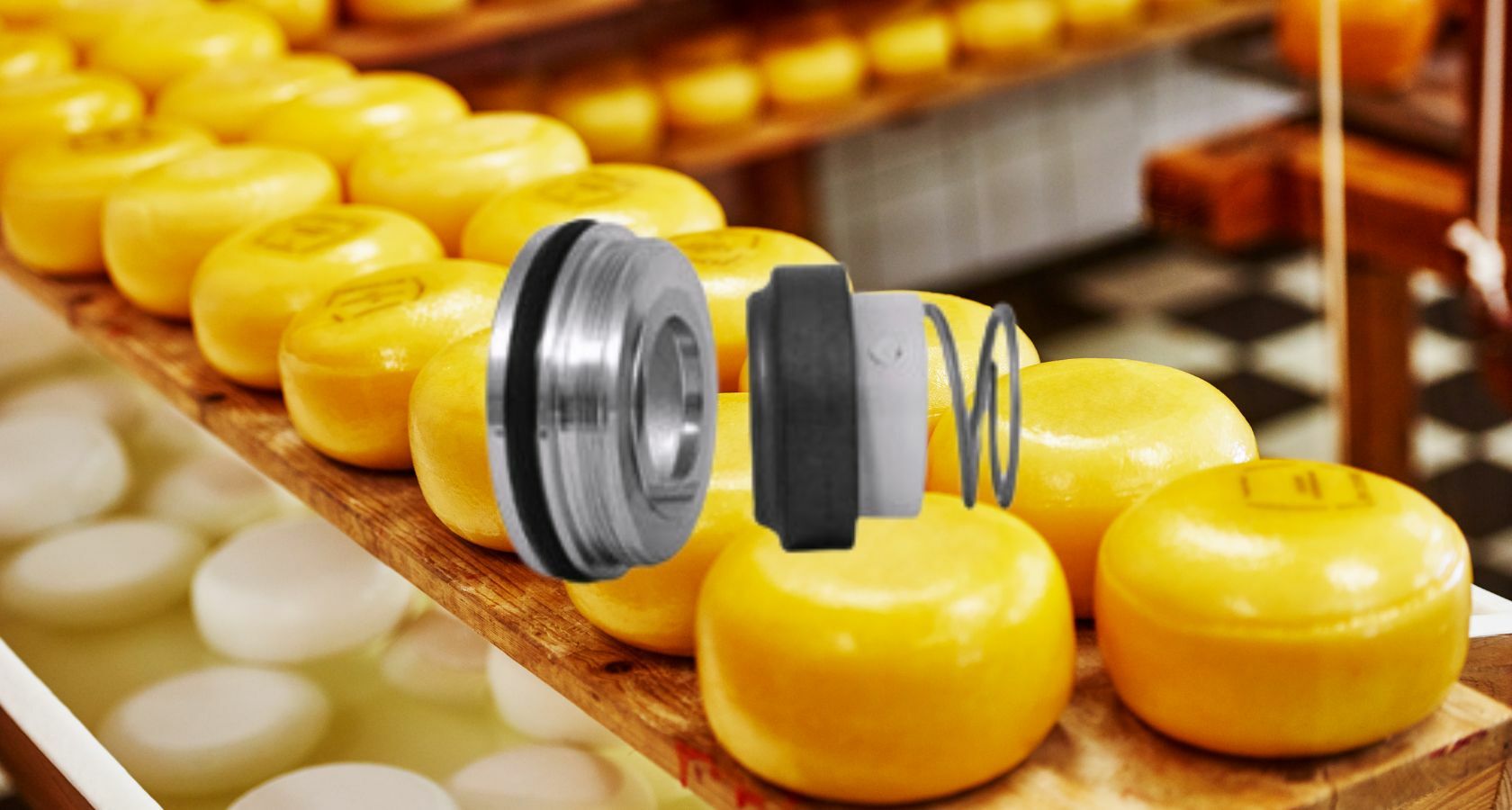 Mechanical seals for food processing