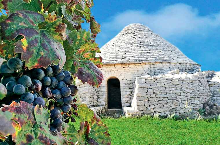 История виноделия в Апулии