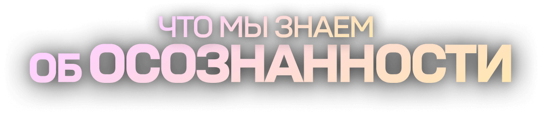 Узнай, как жить своей идеальной жизнью