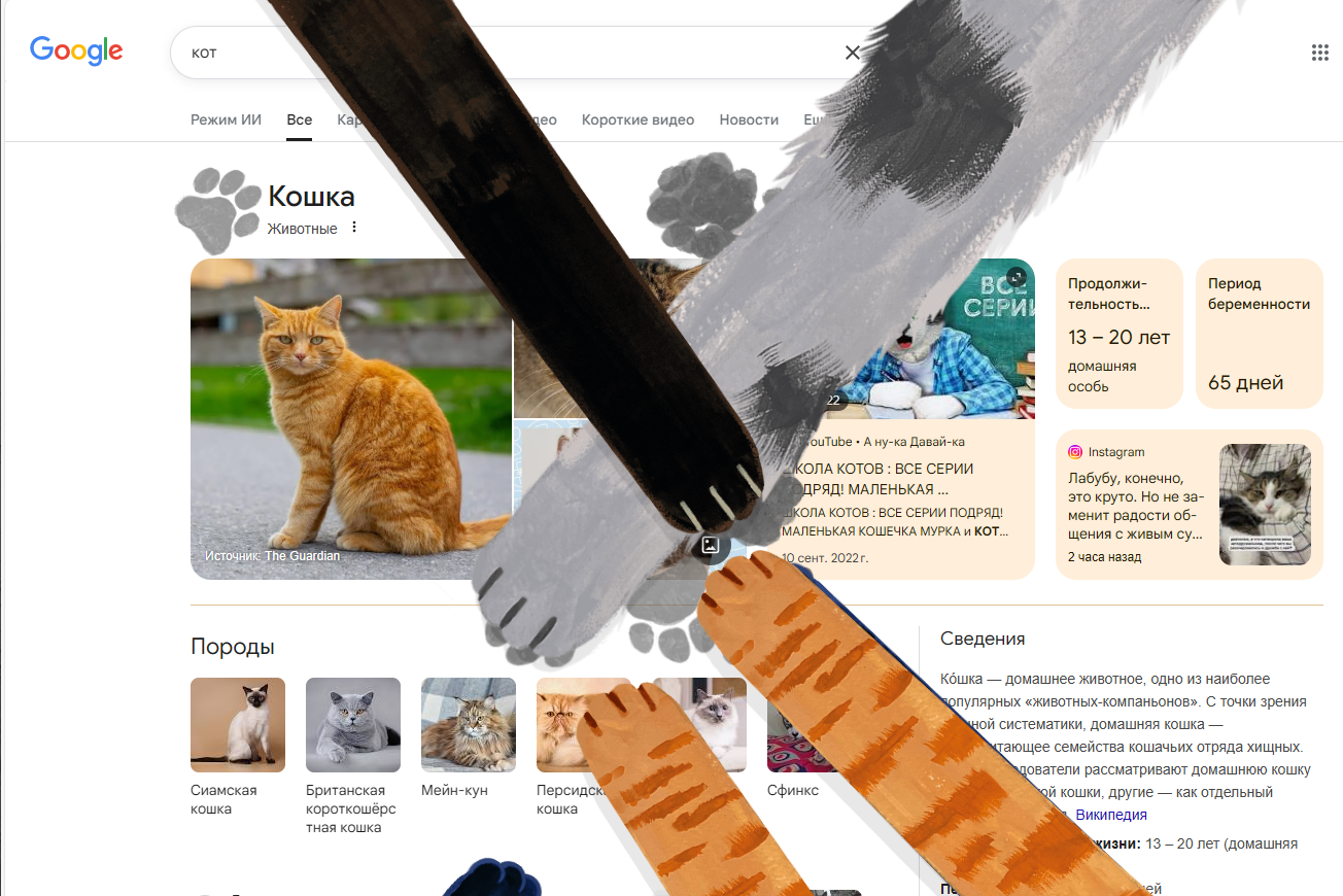 Кошачьи лапки в действии!