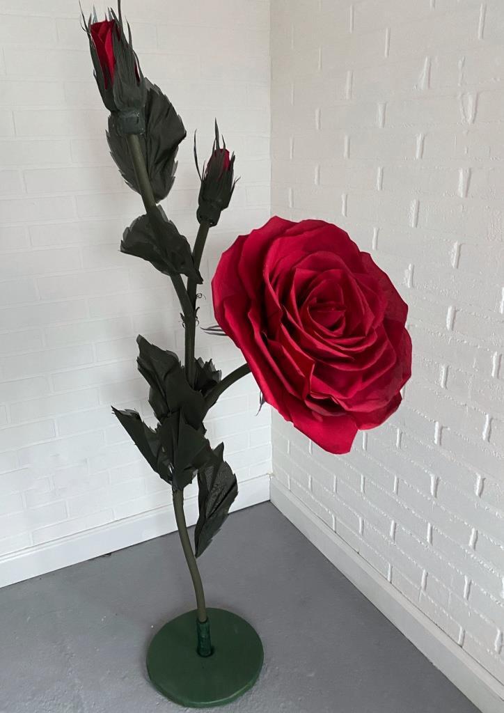Куст розы (красный)