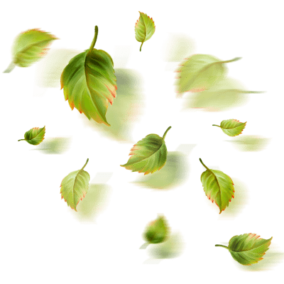 Листья в форме внизу