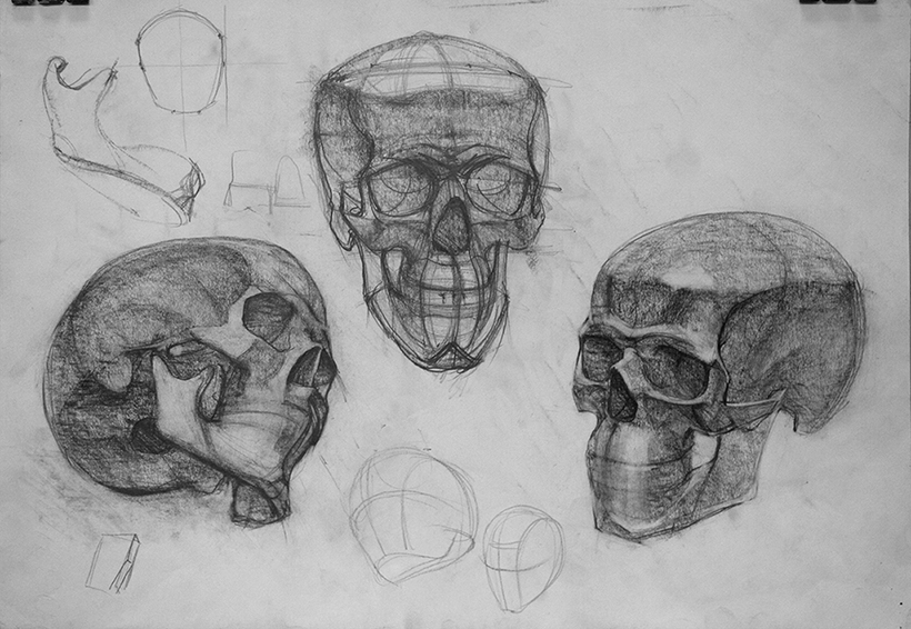Обрубовка черепа академический рисунок