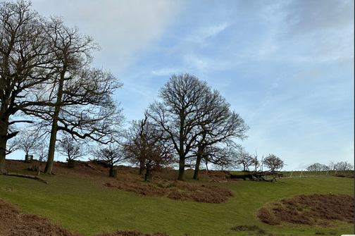 Полный прайс на бухгалтерские услуги ООО Перспектива
