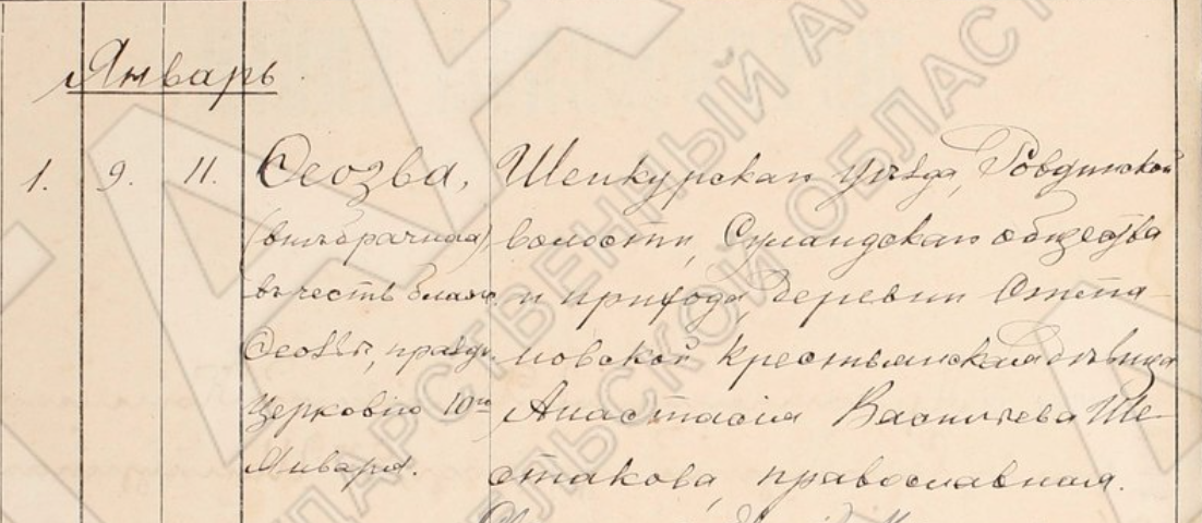 запись в метрической книге имени Феозва