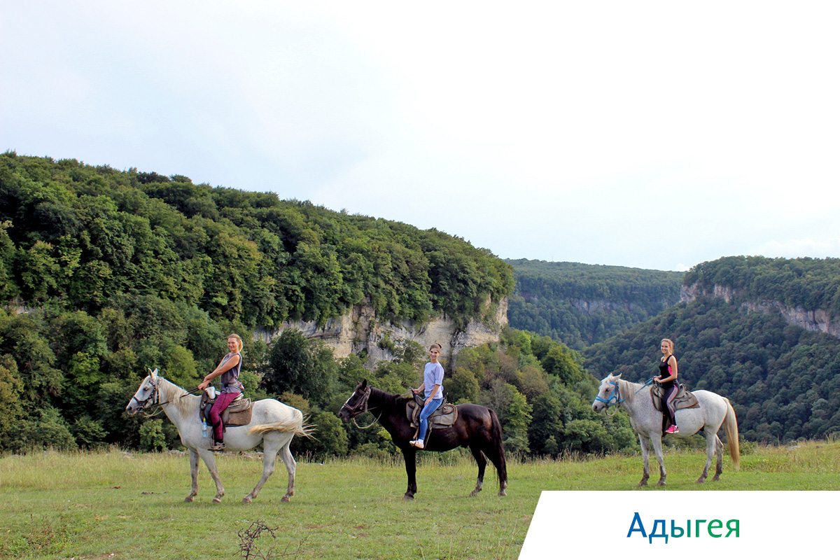 киты в охотском море