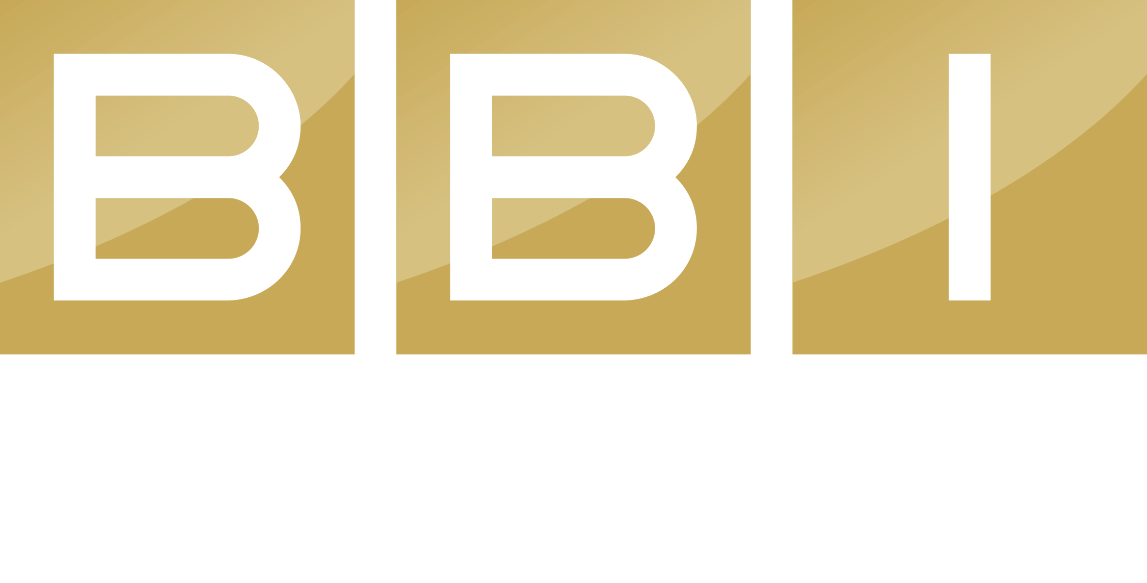 Business Broker Investerix 