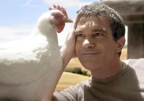 Rosita Mulino Bianco ita