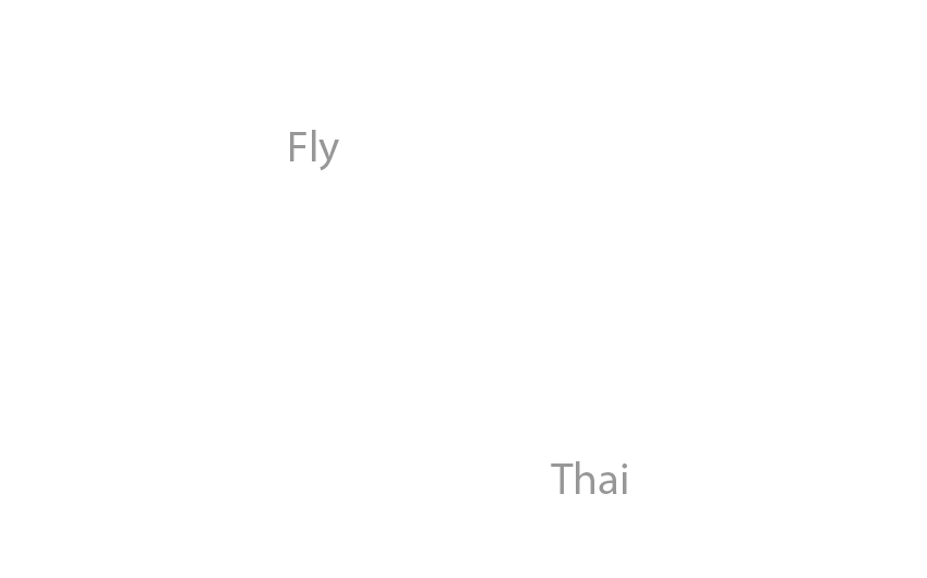 Fly-Thai