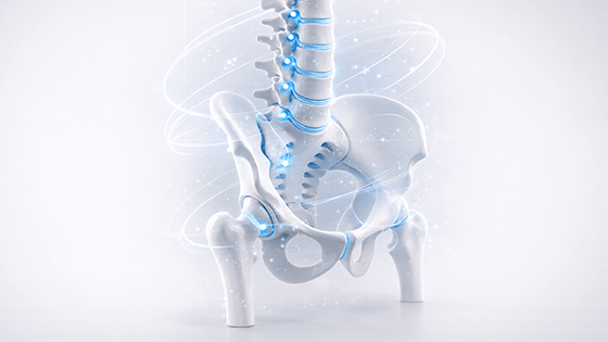 3D-модель позвоночника с биомеханическими векторами, курс Архитектура тела.