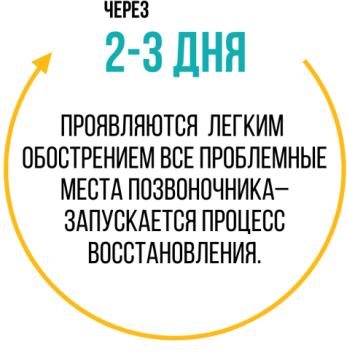 Тренажер хребта Доктор Кипарис