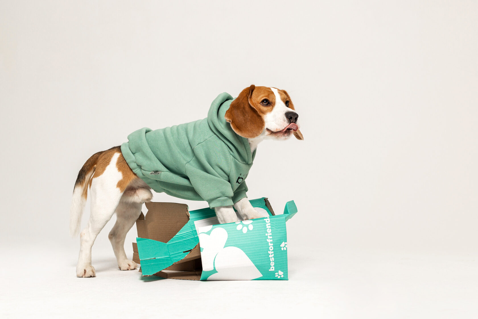 Best For Friend - натуральное питание и лакомства для собак и кошек