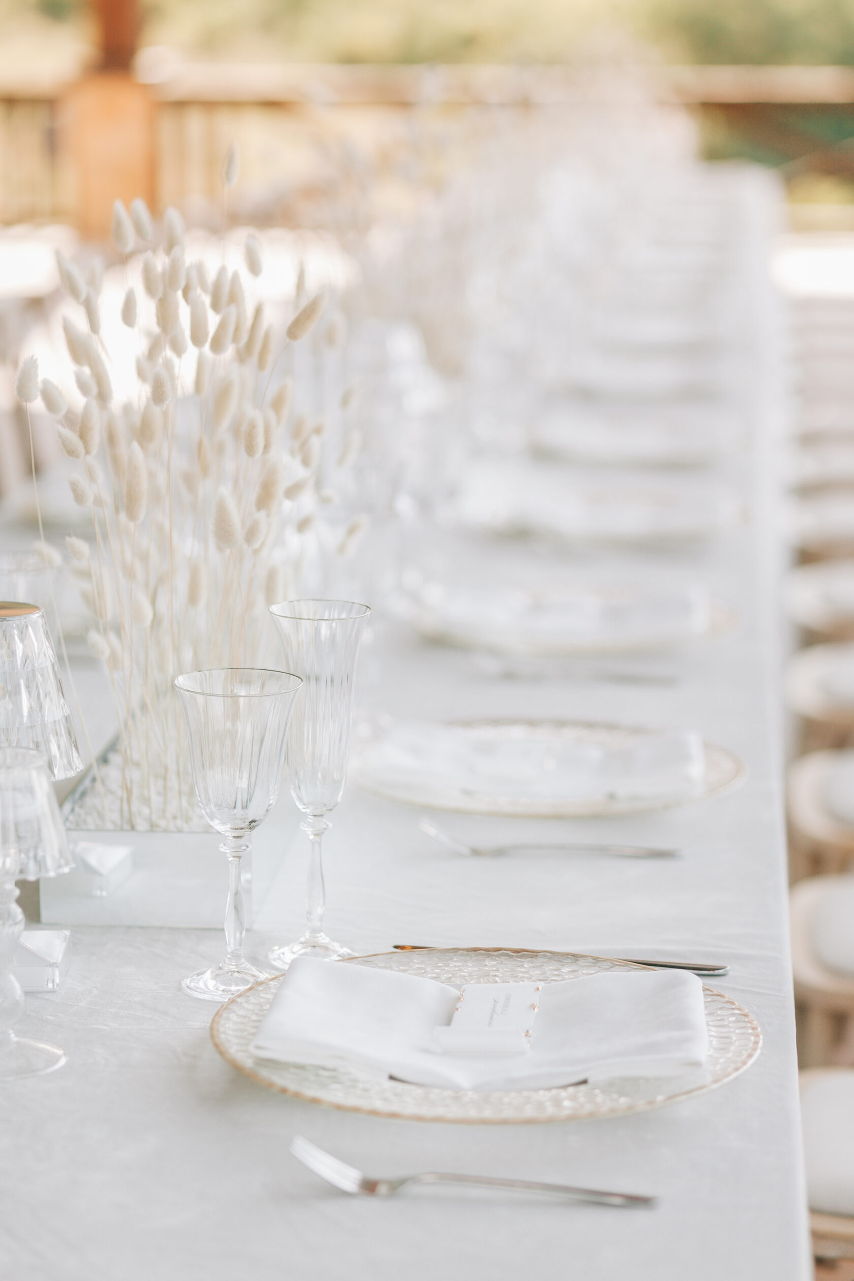 Neponaroshky-wedding-svadba-krym