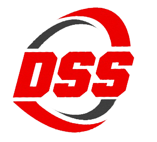 DSS автоподбор. DSS Group автоподбор. ДСС групп. ДСС групп автоподбор.