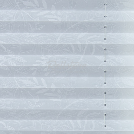 Анже апельсин