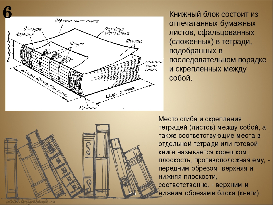 Схема книги рисунок. Книжный блок термины. Книжный блок состоит из. Строение книжного блока. Из чего состоит книжный блок.