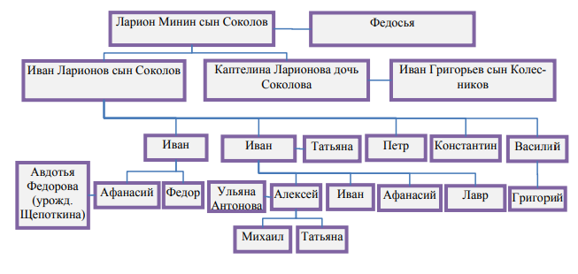 Генеалогическое древо рода Соколовых XVII – начала XVIII века