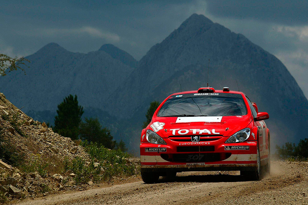 Маркус Гронхольм и Тимо Раутиайнен, Peugeot 307 WRC (952 PRV 75), ралли Турция 2004