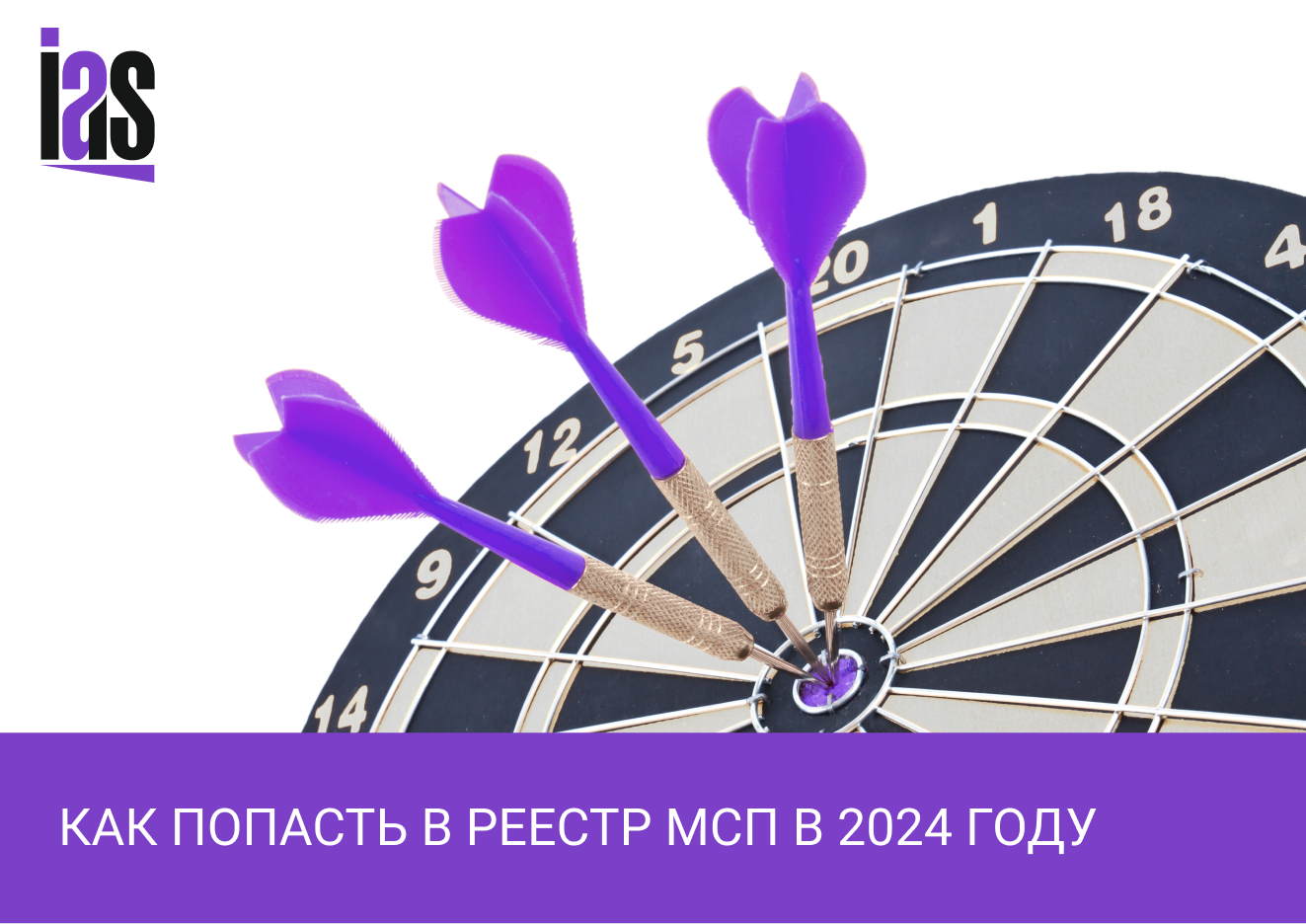 Как попасть в реестр МСП в 2024 году