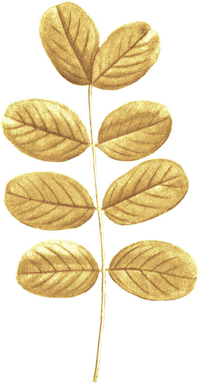 Ритуальные услуги во Владимире | Бюро ритуальных услуг