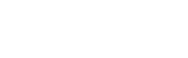 Стандарт эксперт